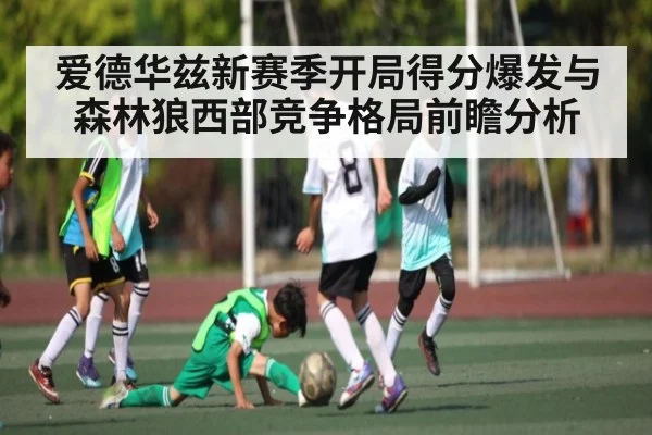 爱德华兹新赛季开局得分爆发与森林狼西部竞争格局前瞻分析